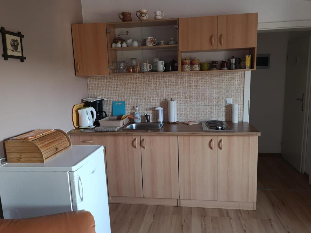 Apartment Samanta Šišan Extérieur photo