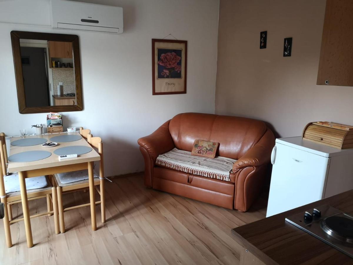 Apartment Samanta Šišan Extérieur photo